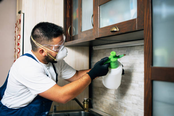 Best Commercial Pest Control Services  in Paradise Hills, NM