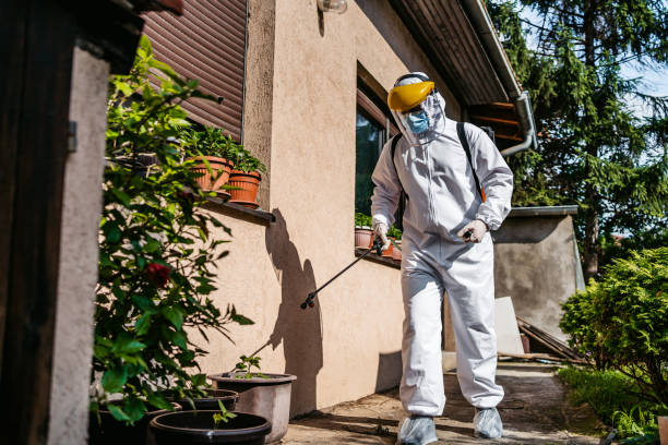 Best Pest Inspection Near Me  in Paradise Hills, NM