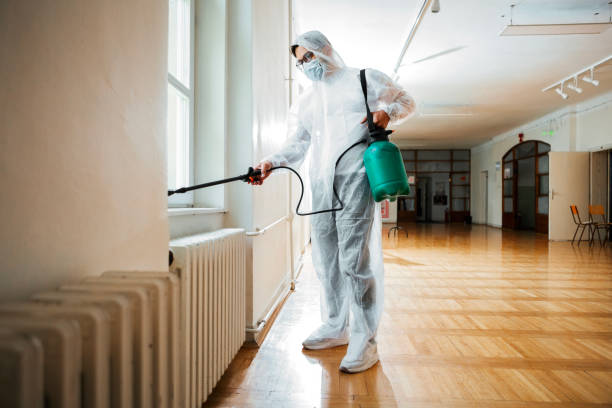 Best Insect Control  in Paradise Hills, NM