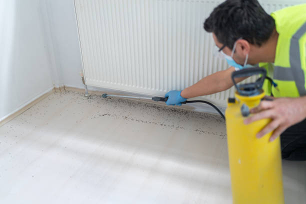 Best Pest Prevention Services  in Paradise Hills, NM