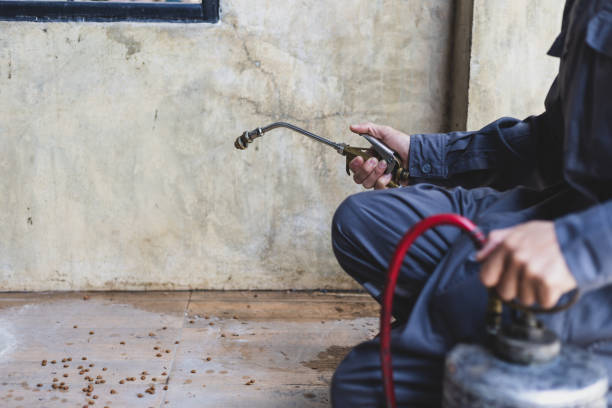 Best Residential Pest Control  in Paradise Hills, NM