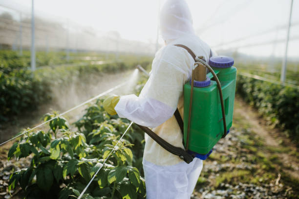 Best Exterminator Services  in Paradise Hills, NM